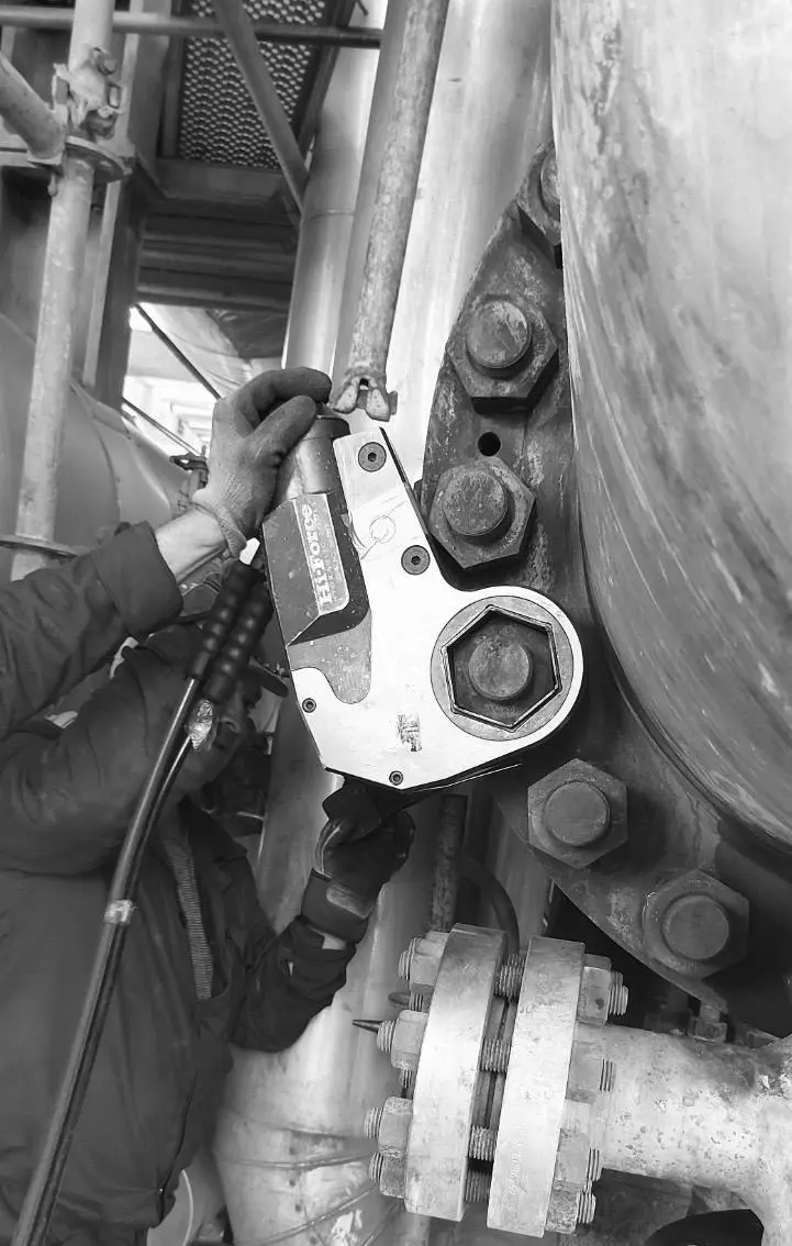 Mentenanța si Revizii